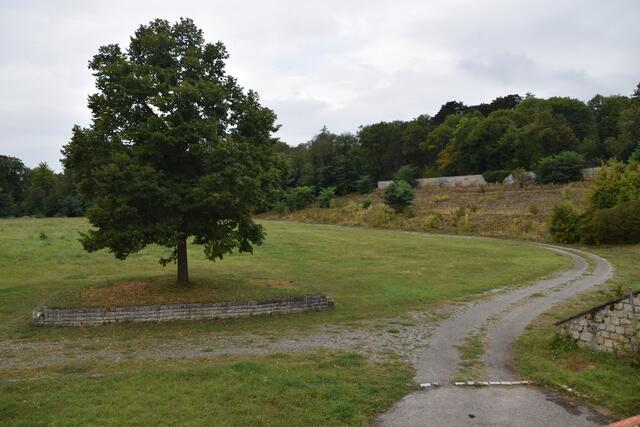 Foto: Stefan Schneider