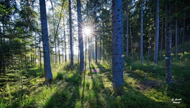 .....lass die Sonne in dein Herz ....