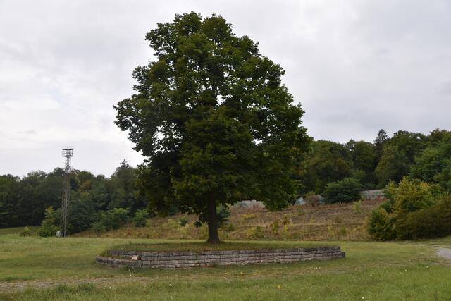 Foto: Stefan Schneider