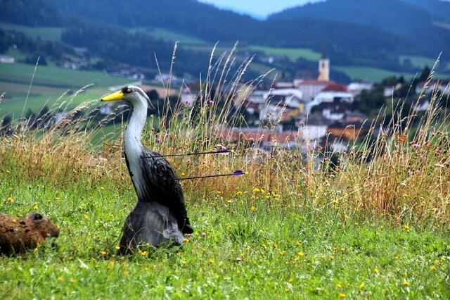 In Peilstein kann man Bogenschießen. | Foto: BSV Peilstein