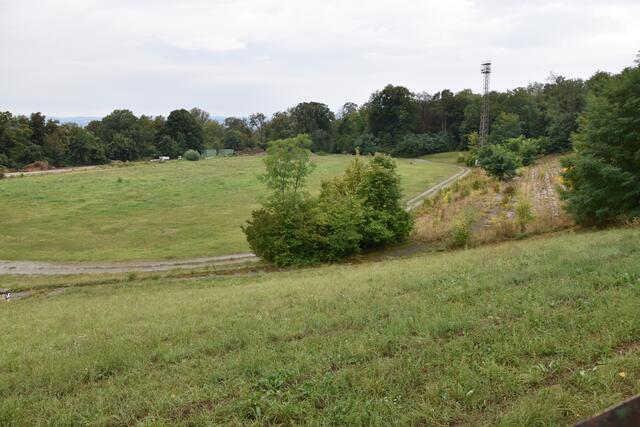 Foto: Stefan Schneider