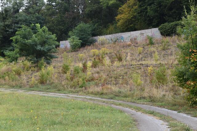 Foto: Stefan Schneider