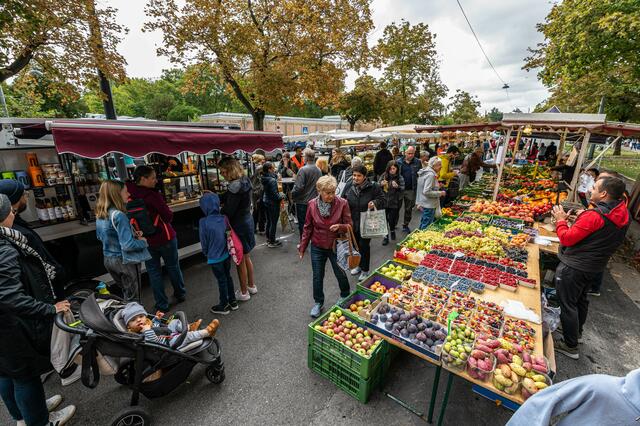 Beste Ware, beste Stimmung: Der Andrang beim Alszeilenmarkt ist groß. Jetzt feiert er Geburtstag. | Foto: Michael J. Payer