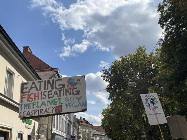 Foto: RegionalMedienSteiermark