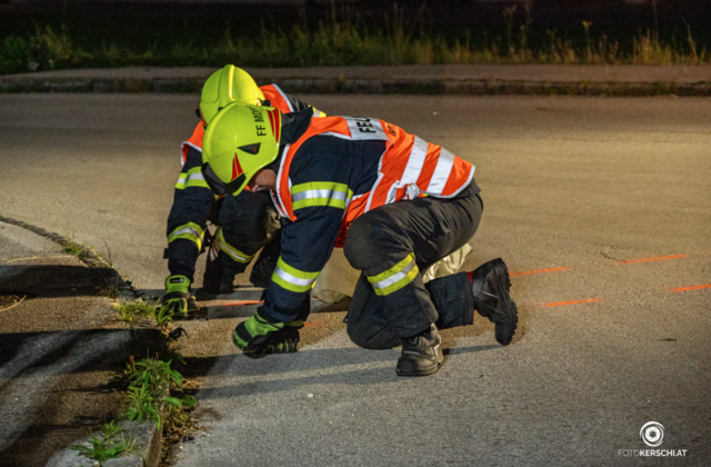 Foto: TEAM FOTOKERSCHI.AT / RAUSCHER