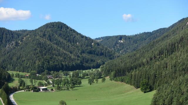 Rundumsicht Kernhof