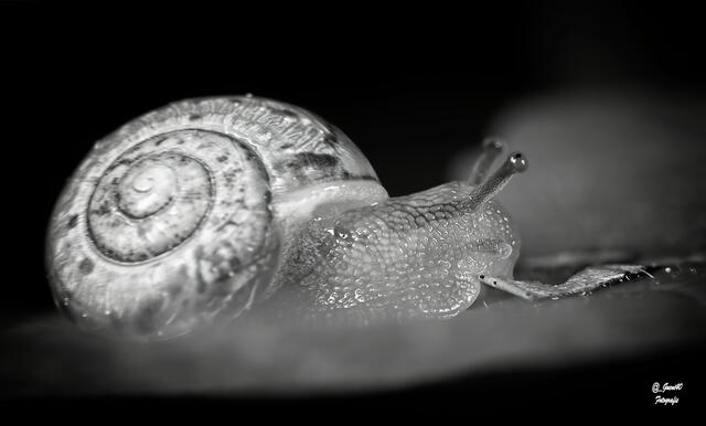 .....auf der Durchreise .....