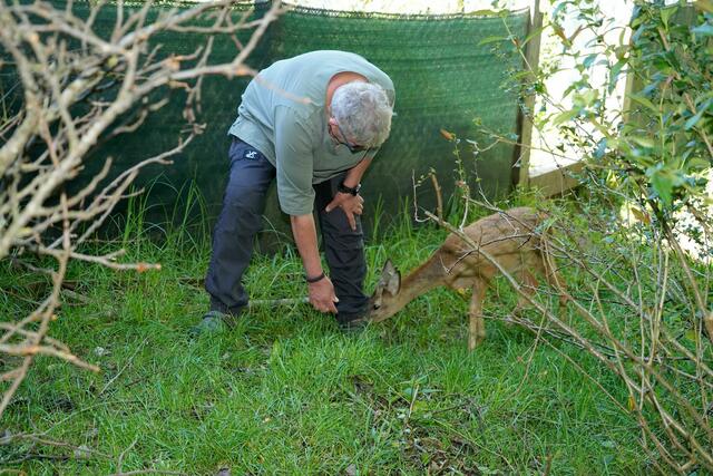 Jugendschulprojekt der HAK Lambach im Igelhof Aurachtal. - Salzkammergut