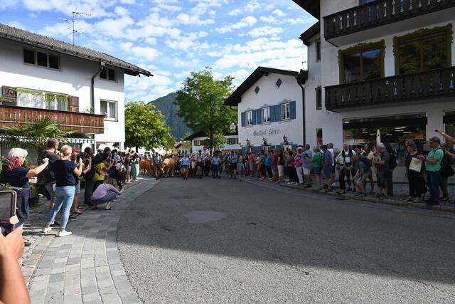 Foto: Königer