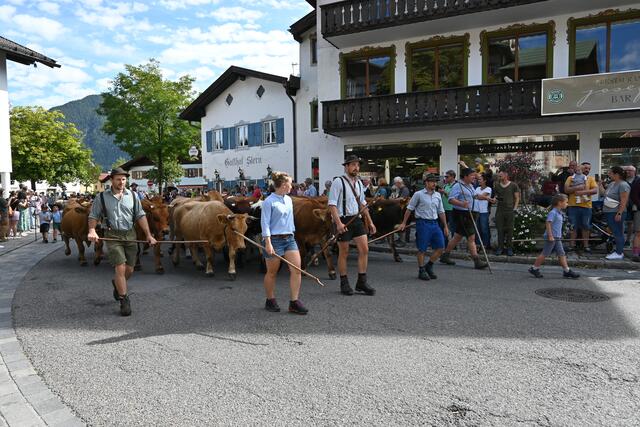 Foto: Königer