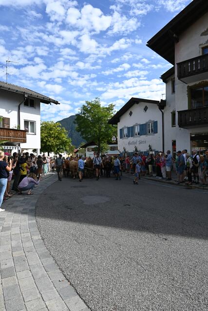 Foto: Königer