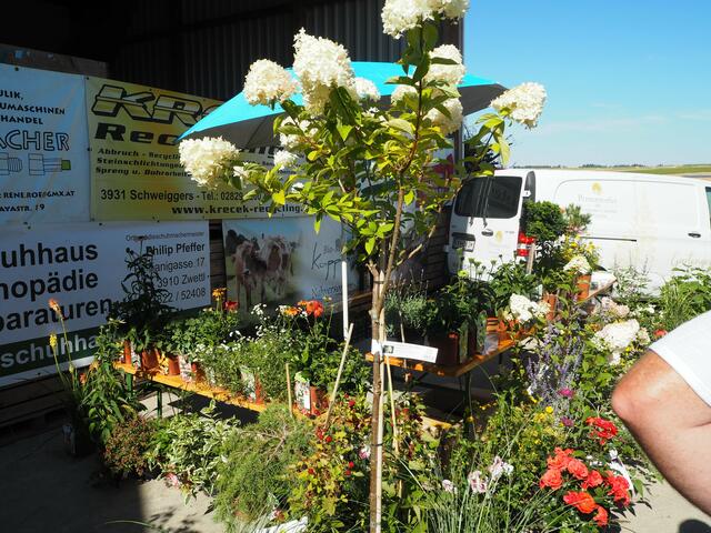 Foto: Günther Winkler