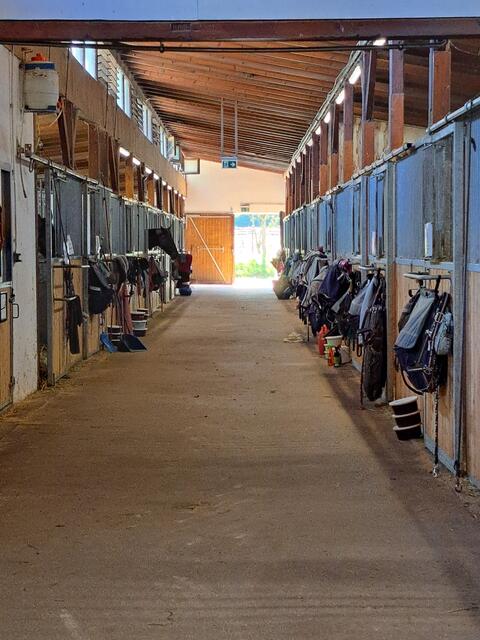 Stallboxen beim Reitverein Geiger | Foto: Stefanie Machtinger