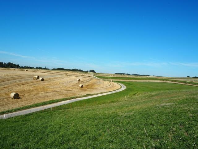 Foto: Günther Winkler