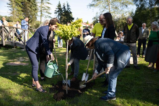 Die Ehrengäste beim Pflanzen des Ginkgo-Baumes. | Foto: Raphaela Weinstabl