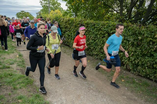 In Neustift am Walde sporteln am 1. Oktober wieder große und kleine Läufer. Denn dann geht der Neustifter Weinberglauf wieder durch die beschauliche Döblinger Landschaft. | Foto: René Brunhölzl