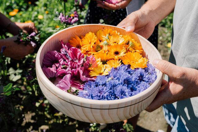 Bunt wie der Herbst. | Foto: Salzburger Landtourismus