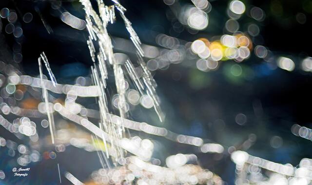 ..........Wassertropfen eingefangen ......