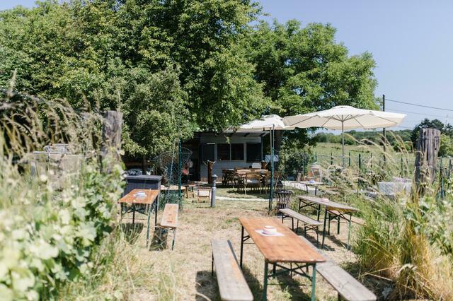 In Stammersdorf eröffneten sie vor Kurzem einen neuen Buschenschank mit Namen "WEIN[:Garten:]". | Foto: Weingarten