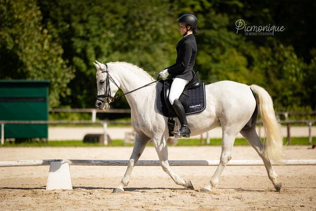 Die Reiterinnen und Reiter boten Top-Leistungen beim Reitertreffen des URFV Bad Ischl. | Foto: Monika Schmid