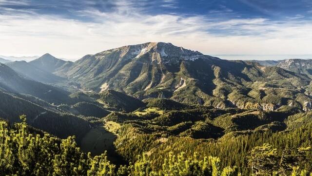 Die Verwaldung schreitet fort im Ötscherland. | Foto: Naturpark Ötscher-Tormäuer