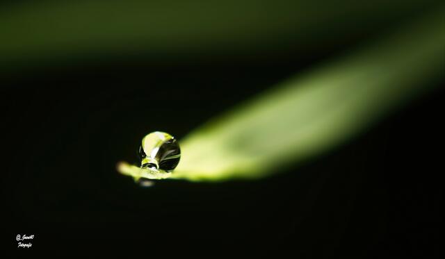 ....ein edler Tropfen ......