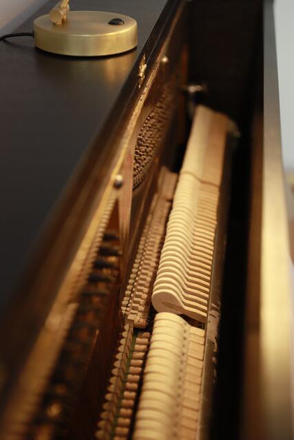 Foto: Alexander Stimmeder