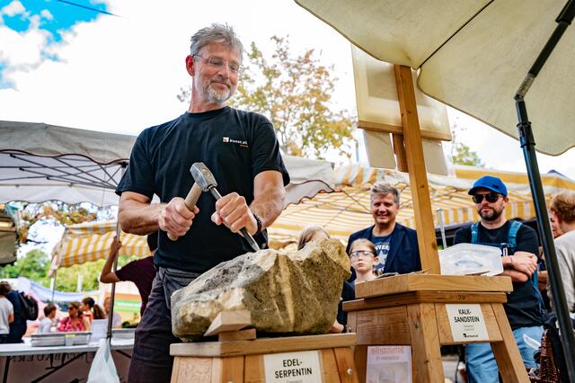 Foto: Alszeilenmarkt / Lukas Arnold Photography
