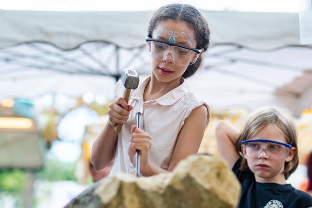 Foto: Alszeilenmarkt / Lukas Arnold Photography