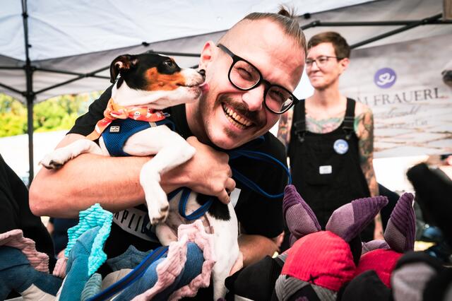 Foto: Alszeilenmarkt / Lukas Arnold Photography