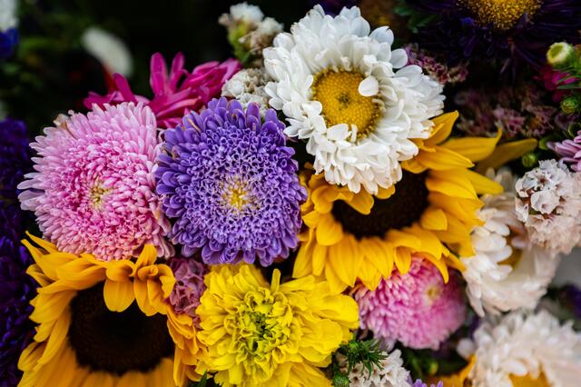Foto: Alszeilenmarkt / Lukas Arnold Photography