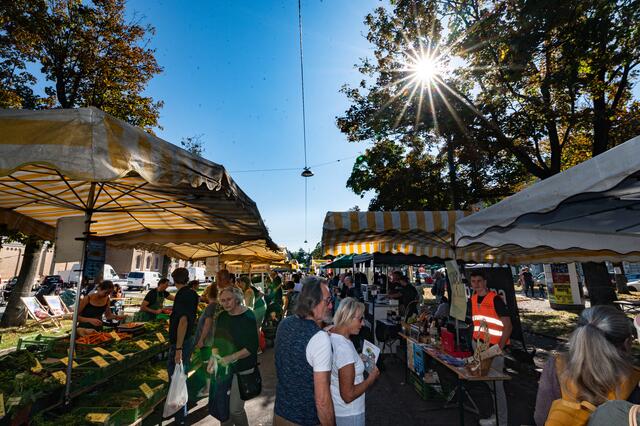 Foto: Alszeilenmarkt / Lukas Arnold Photography