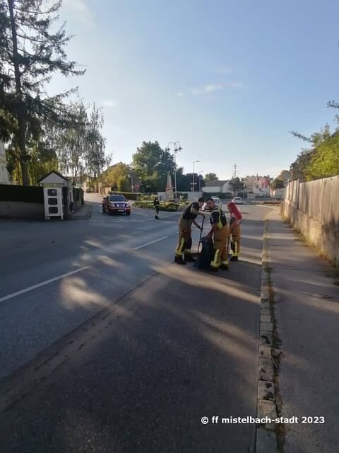 Foto: FF Mistelbach
