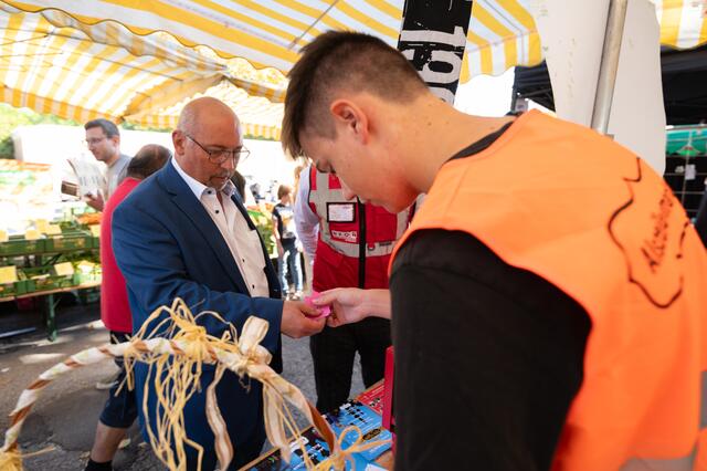 Foto: Alszeilenmarkt / Lukas Arnold Photography