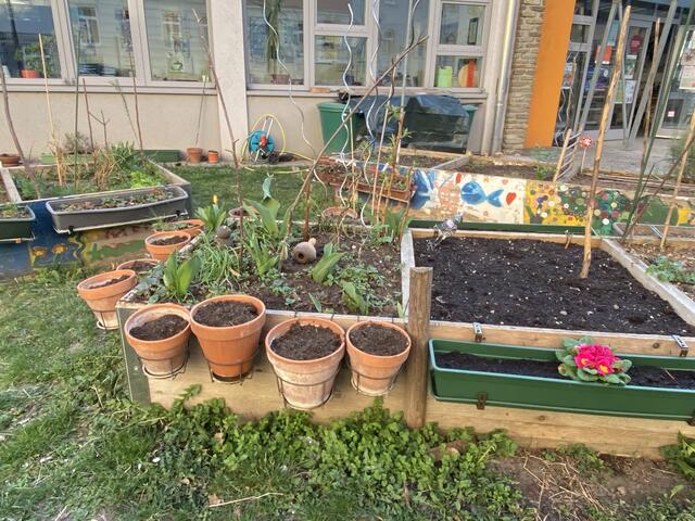 Die GB* im Stuwerviertel startet in den Herbst: Beim Stadtteilbüro am Max-Winter-Platz wartet eine Pflanzentauschbörse und vieles mehr. | Foto: Kathrin Klemm