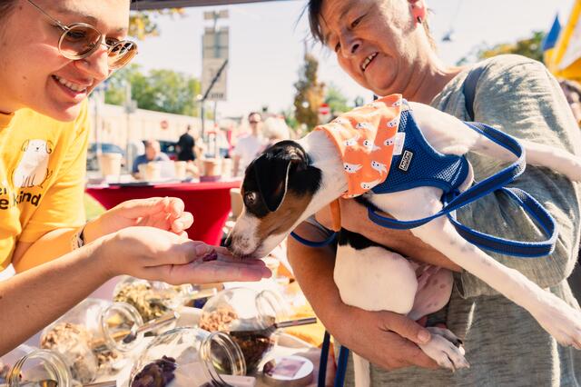 Foto: Alszeilenmarkt / Lukas Arnold Photography