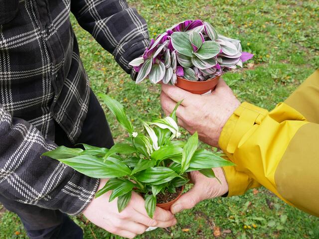 Pflanzen und Blumensamen tauschen ist am 29. September bei der GB* am Max-Winter-Platz angesagt. | Foto: GB*