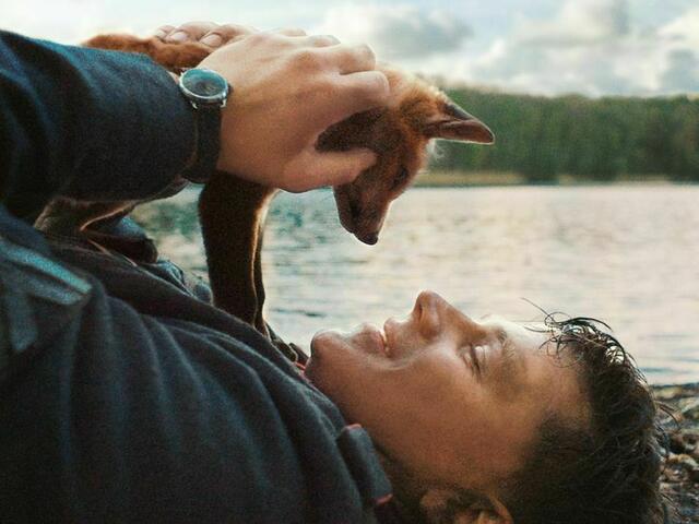 "Der Fuchs" ist einer der vielen Filme aus dem Herbstprogramm, | Foto: Alamode Film