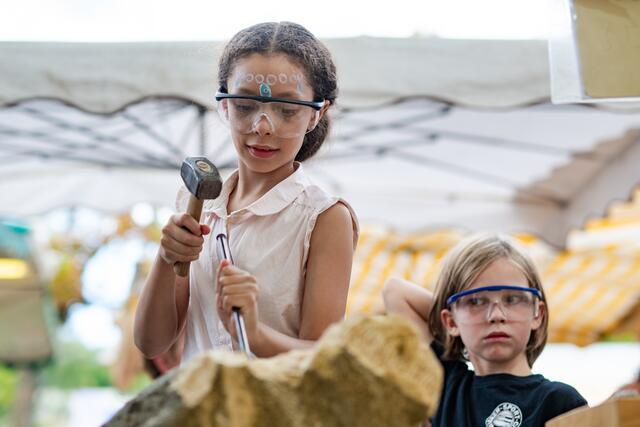 Foto: Alszeilenmarkt / Lukas Arnold Photography