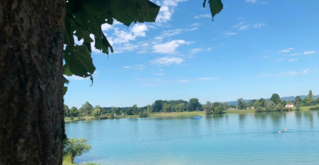 Foto: Petra Breiteneder