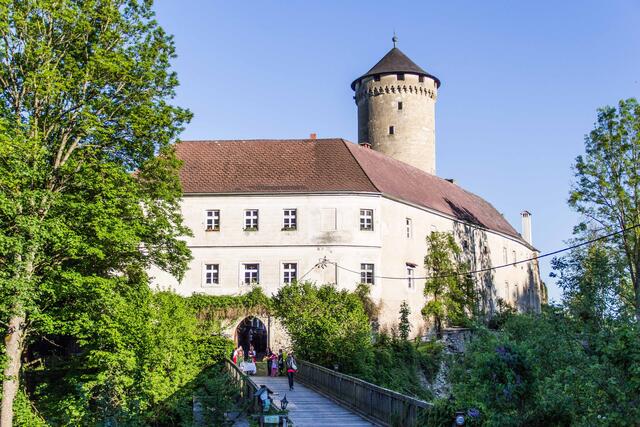 Manche Historiker vermuten, dass das Bindenschild aus dem Besitz der Grafen von Hohenburg-Wildberg stammen, weswegen das Schloss Wildberg auch als "Wappenschloss" bekannt ist.  | Foto: Agnes Kaiser
