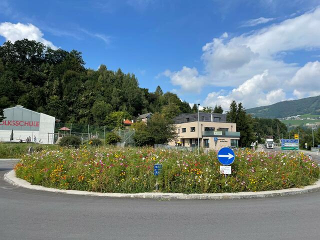 Der Kreisverkehr in Tiefgraben bietet Bienen Nahrung.  | Foto: Land OÖ