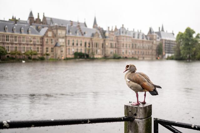 Impressione aus Den Haag.  | Foto: Land OÖ/Peter Mayr