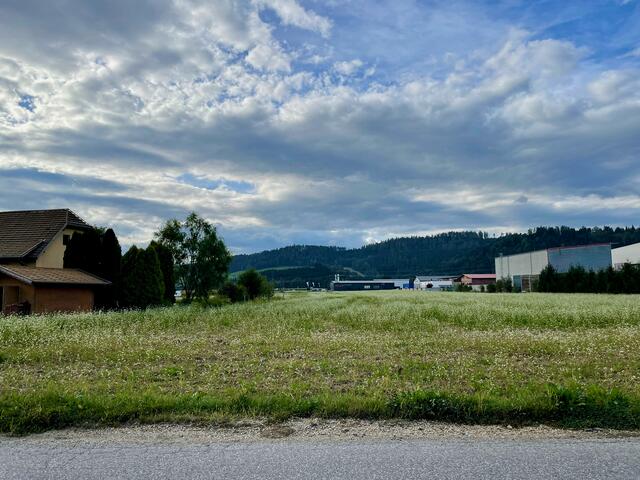 Auf diesem rund 3,5 Hektar großen Grundstück in Framrach werden bald schon die Bagger anrollen. | Foto: MeinBezirk.at