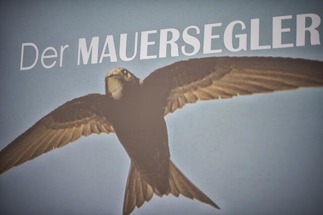 Foto: (c) PLUS/Michael Namberger