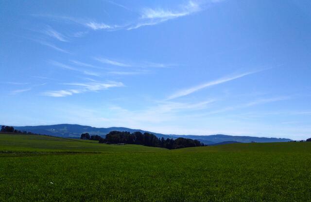 Foto: Wolfgang Priglinger