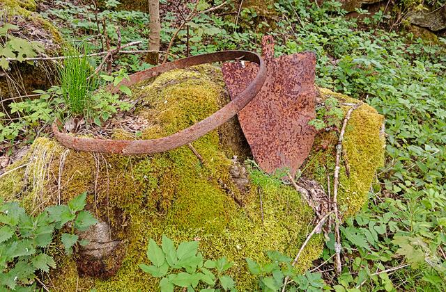 Foto: Rainer Hinterhölzl