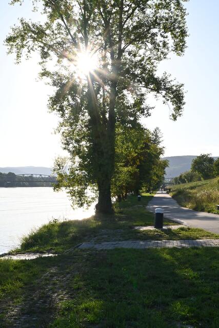 Donau und Treppelweg