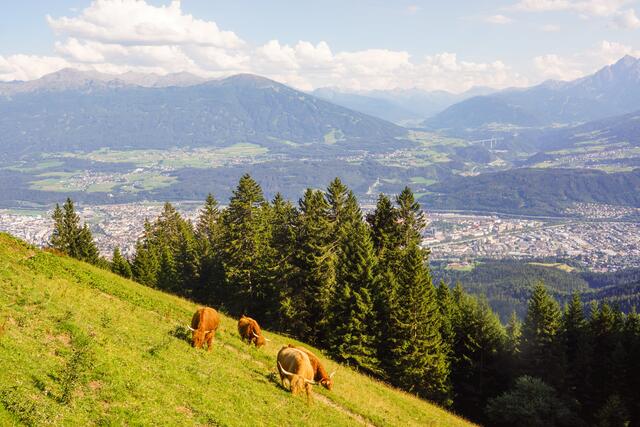 Mehr als die Hälfte des Innsbrucker Waldes ist Schutzwald. Im Bild: Blick auf Innsbruck. | Foto: Servus TV/DMG