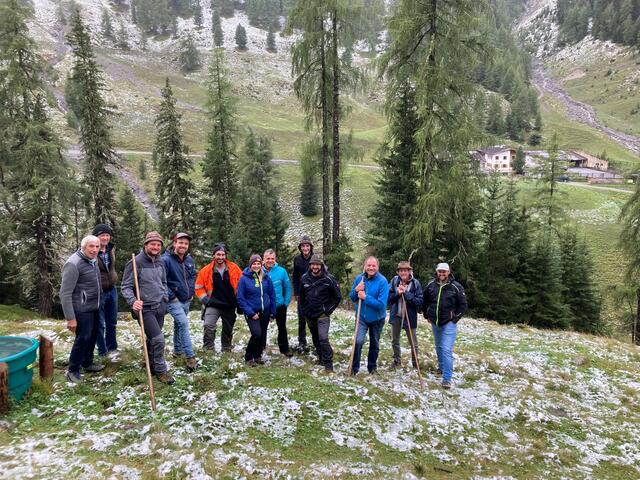 Bereits nach dem ersten Projektjahr kann auf der Alpe Stalanz in Ried im Oberinntal von einem großartigen Weideerfolg berichtet werden. | Foto: Frank